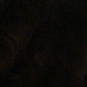 Meet your Posher, Eli